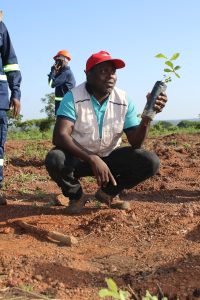 PLANTATION DE PLANTS DANS LE VERGER DU CBF